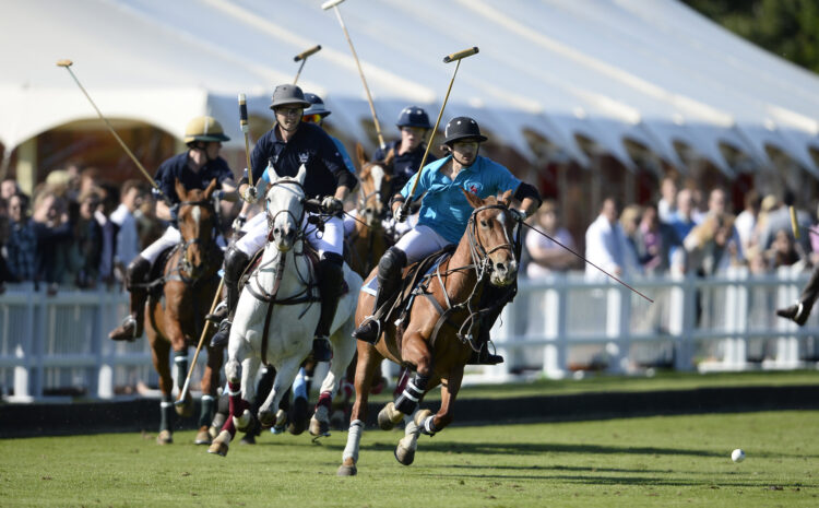  August 31st, 2024: Experience the International Polo Cup – a highlight in the sport of polo!